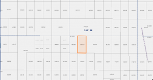 GIS Map (1)