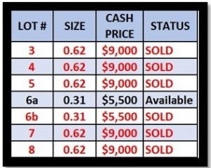 Pricing Chart